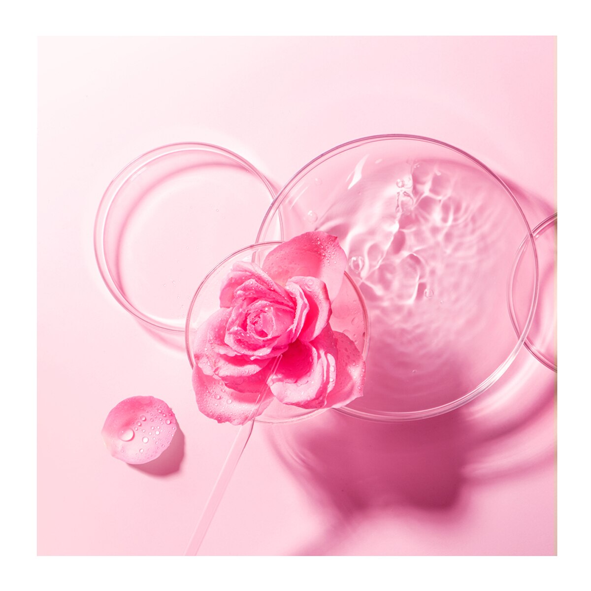Mascarilla facial Bulgarian Rose para piel seca y apagada FOREO 20 g 5