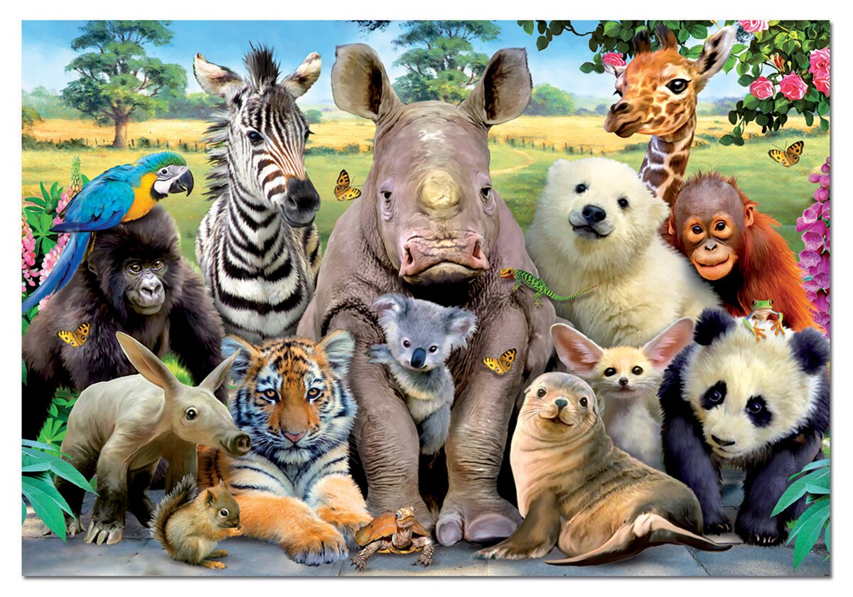 Puzzle 1000 Piezas Its A Class Photo Educa 2