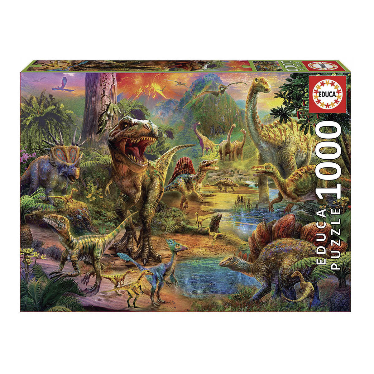EDUCA - Puzzle 1000 Piezas Tierra De Dinosaurios Educa