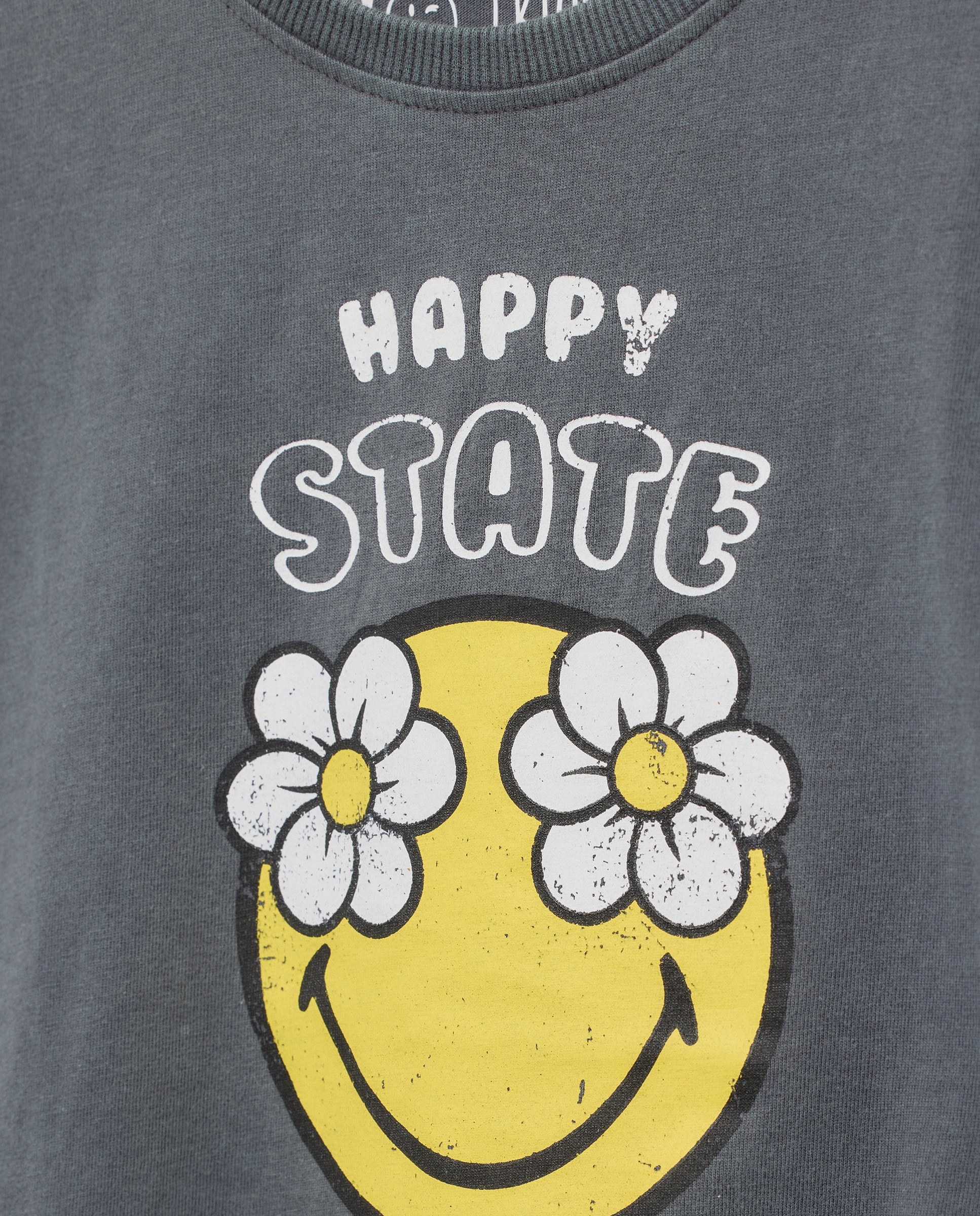 T-shirt de Manga Curta às Riscas e com Malmequeres Cinzento-6