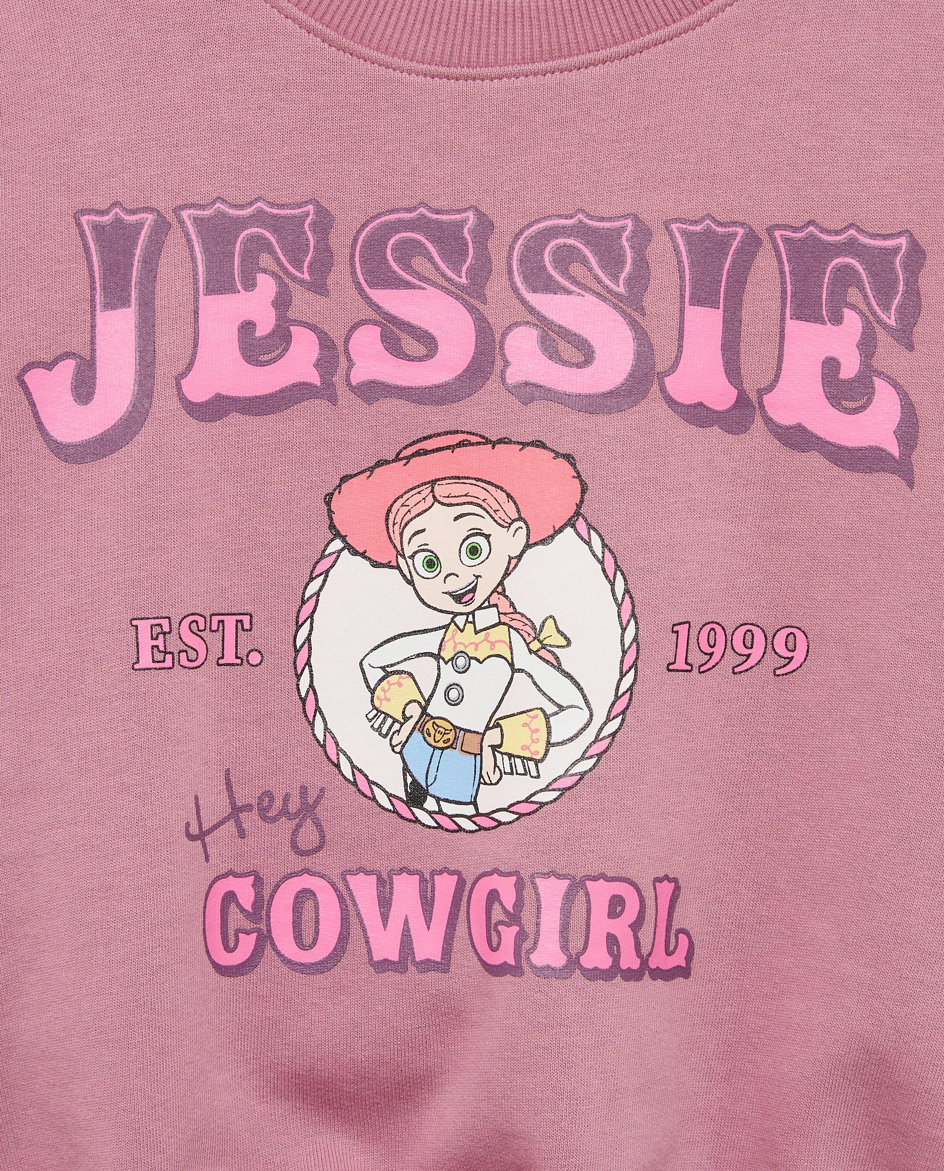 Sweatshirt de Criança com Estampado de Fantasia TOY STORY Estampado Posicional JESSIE com Flock Rosa-5