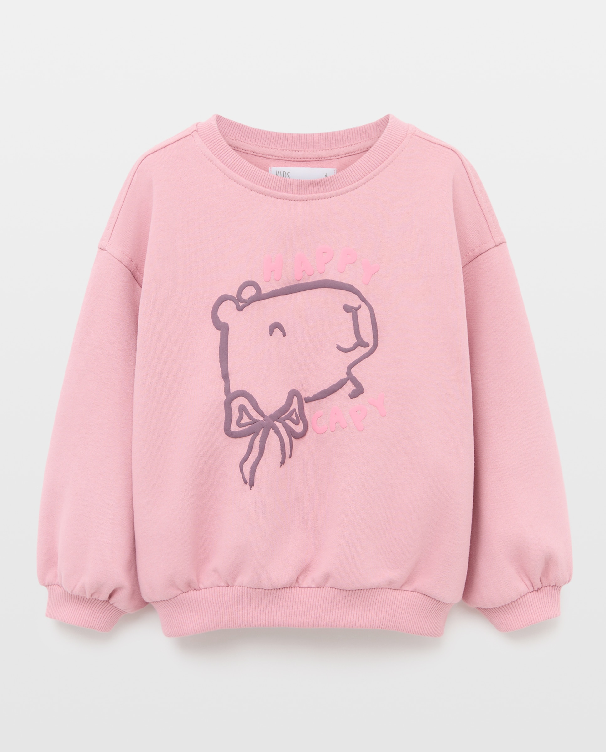 Sweatshirt de Criança em Felpa com Decote Redondo Básica com estampado posicional "Capibara" Rosa-4