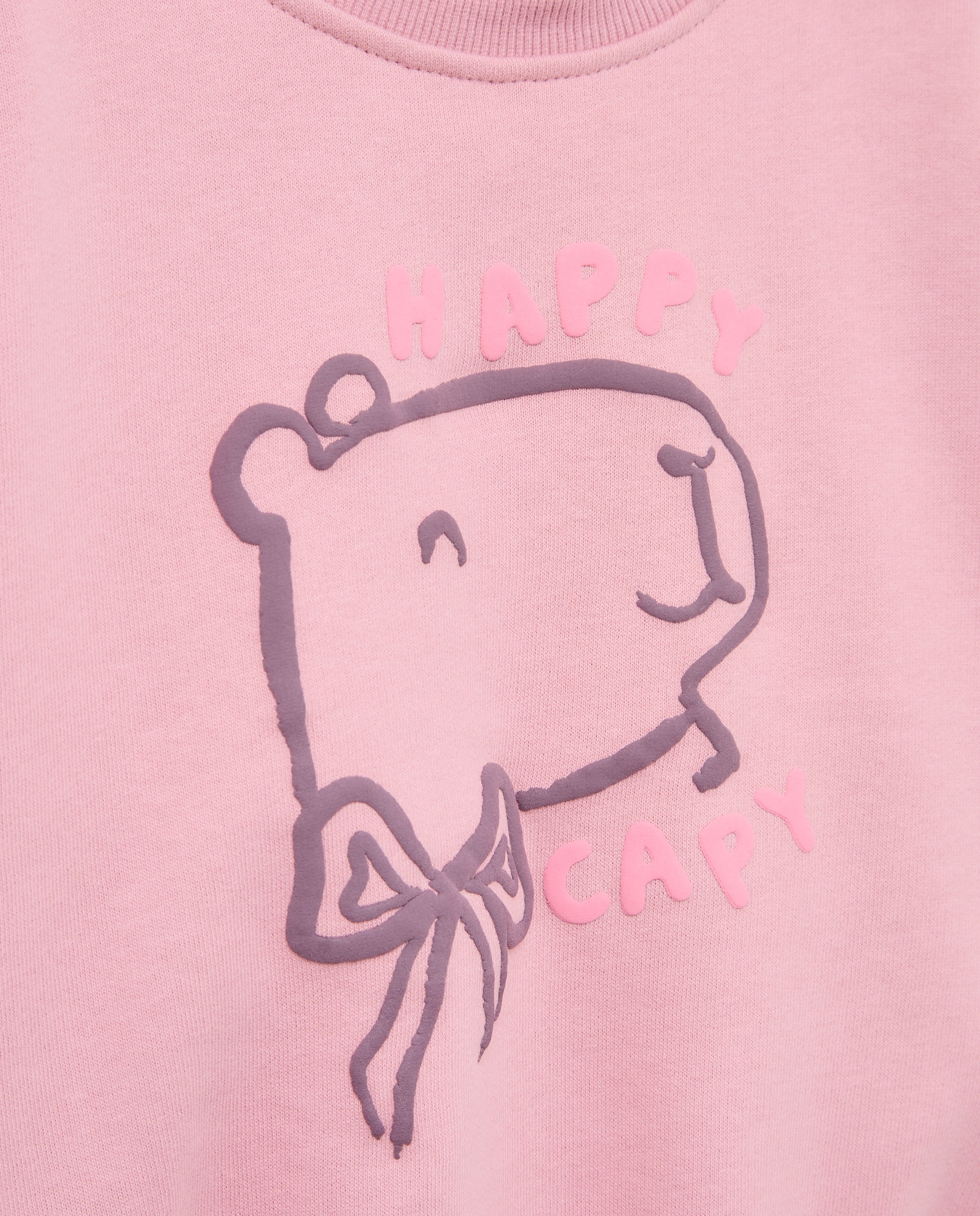 Sweatshirt de Criança em Felpa com Decote Redondo Básica com estampado posicional "Capibara" Rosa-5