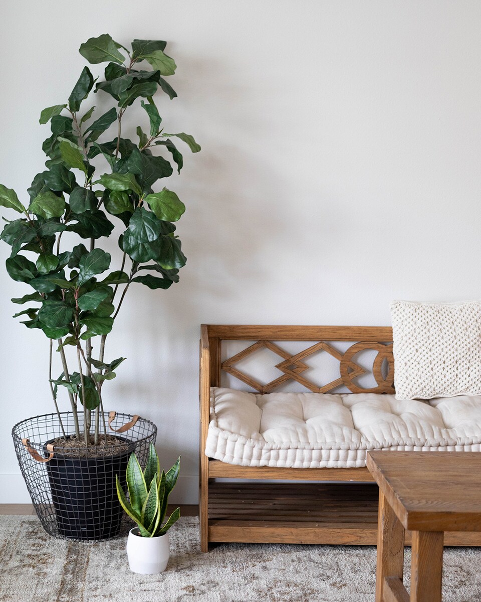 Pintura Plástica Mate Interiores Ciclón Blanco-3