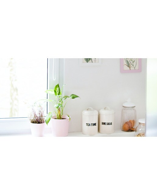 Pintura Plástica Mate Cobertura Total 4 l Blanco-3