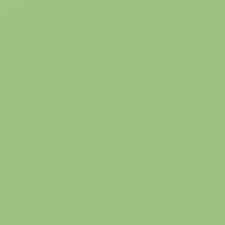 Verde pastel