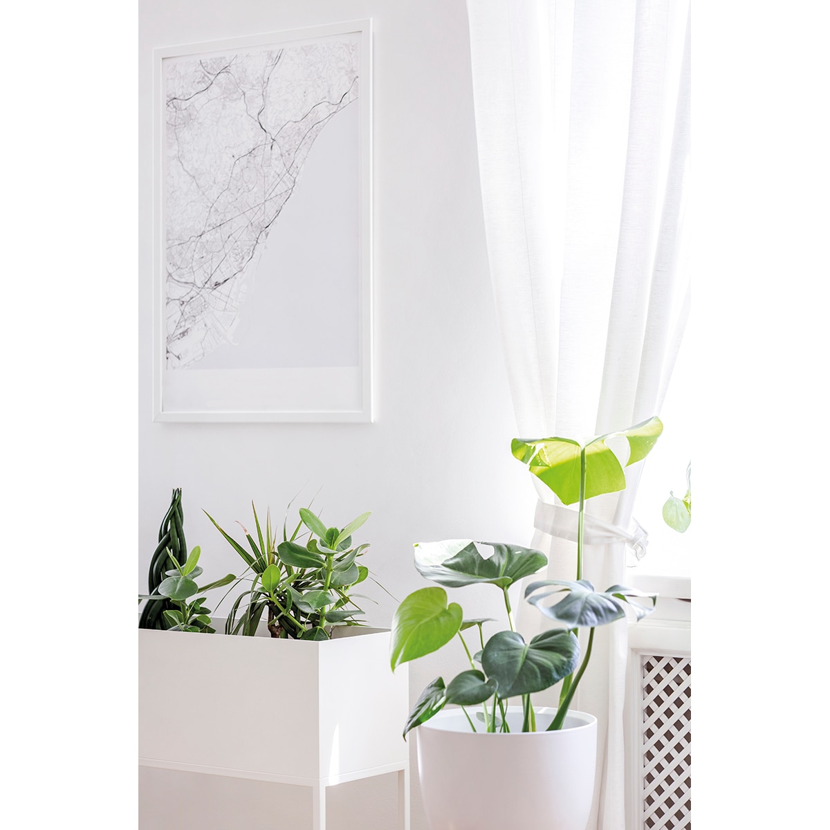 Imprimación Universal 4 l Blanco-2