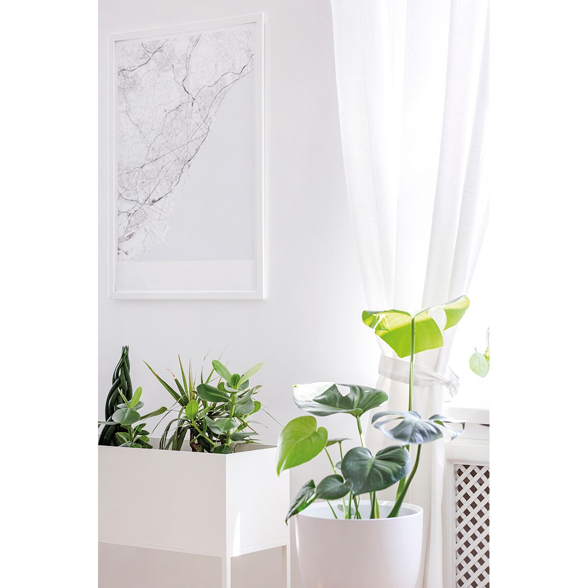 Imprimación Universal 4 l Blanco-2