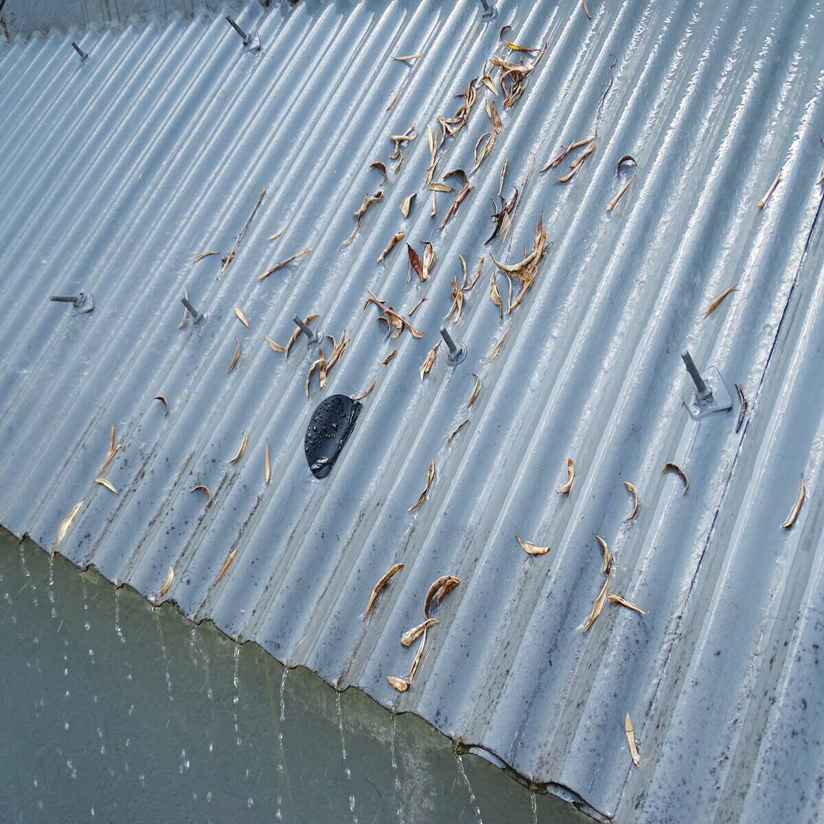 Cinta Extrema Instantánea AguaStop 1,5 m Negro-4