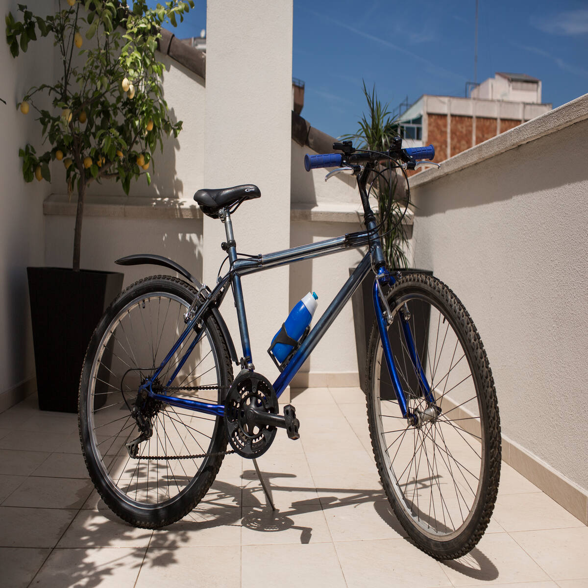 Cola Triaction Transparente-2