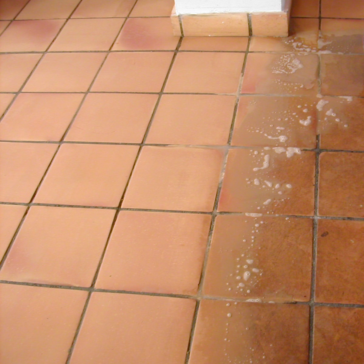 Quitamanchas Decapante Desengrasante Sanigel 2