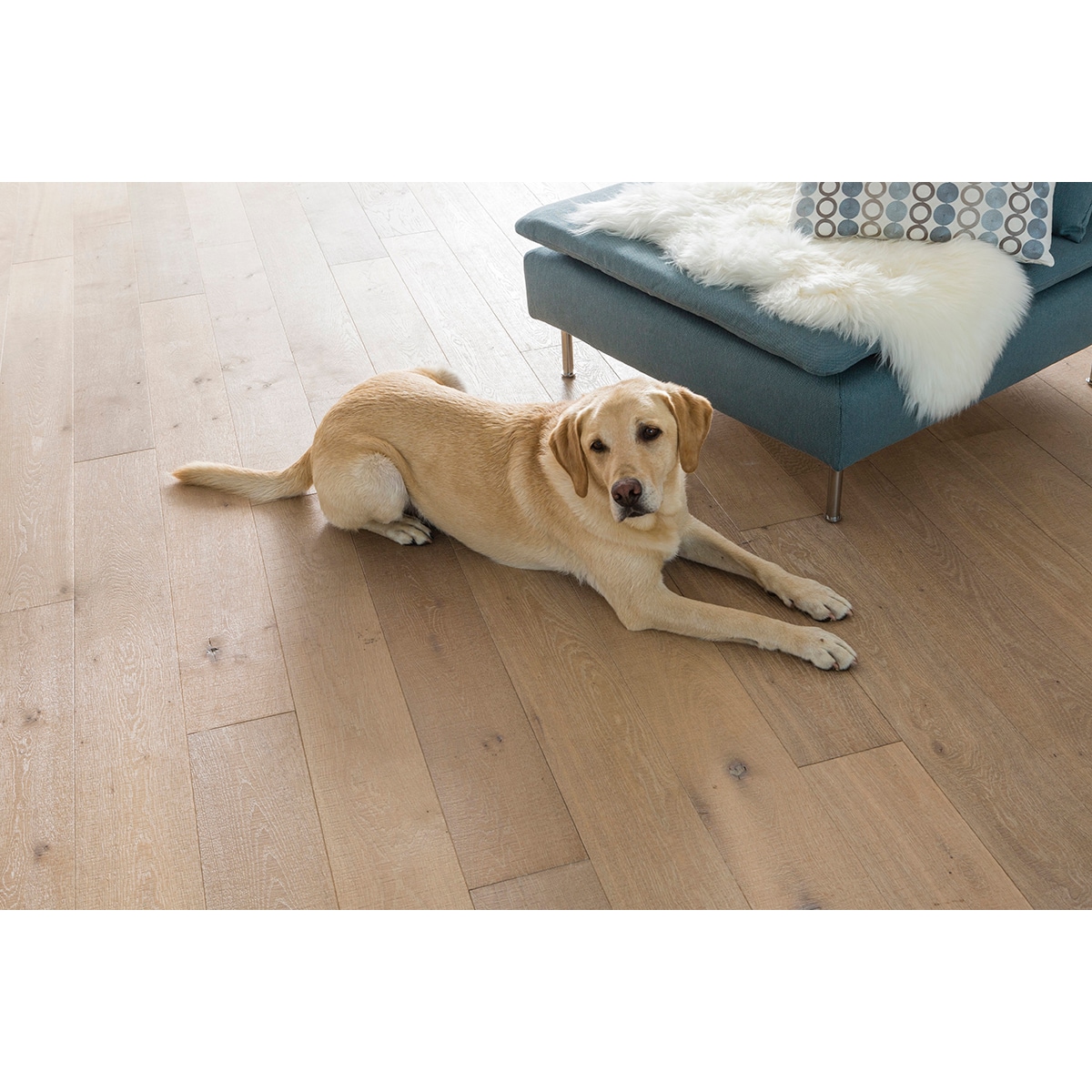 Renovador Parquets y Suelos Laminados 1 l Incoloro-3