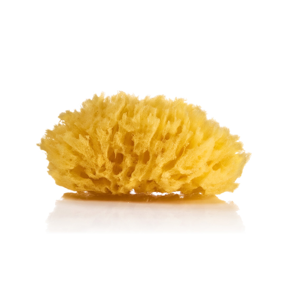 Esponja Natural Suavipiel Marina extra suave natural Natural-1