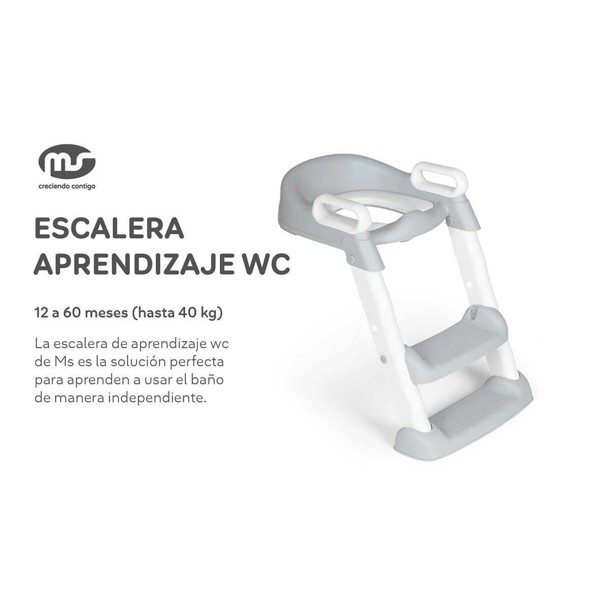 Esaclera aprendizaje wc Gris-4