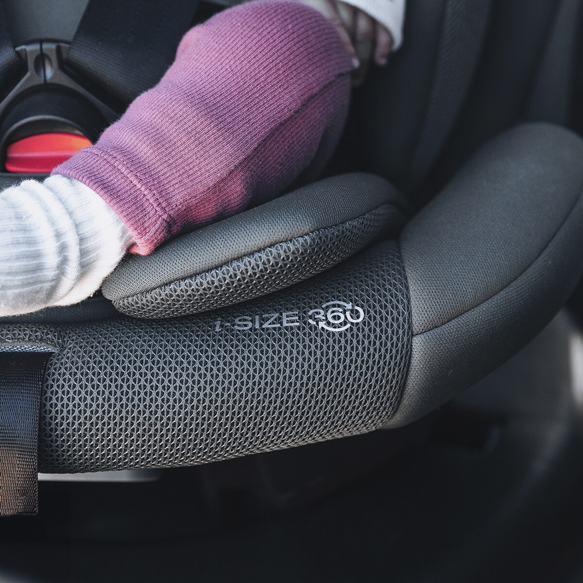 Silla de coche valora i fix tt (40-150cm) Gris-12