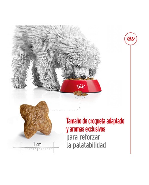 Pienso para perros Royal Canin Mini Adult 6