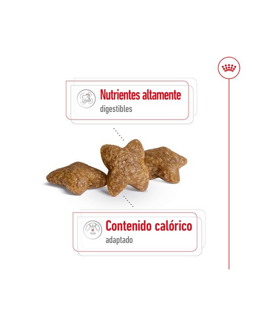 Pienso para perros Royal Canin Mini Adult 7