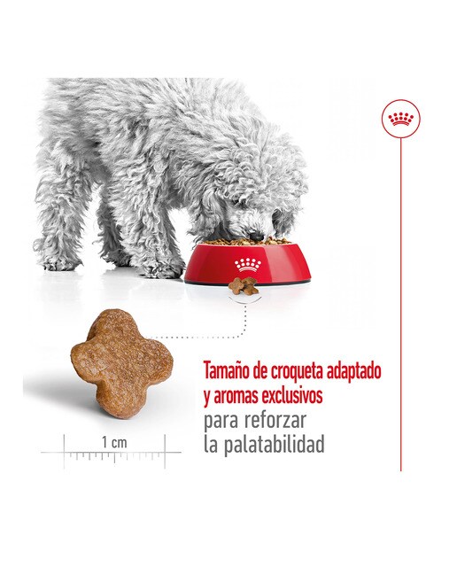 Pienso para perros adultos + 8 años minis Royal Canin 6