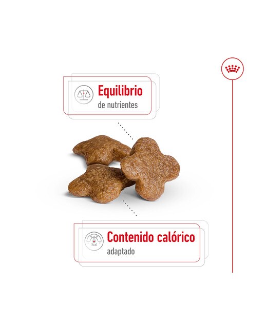 Pienso para perros adultos + 8 años minis Royal Canin 7