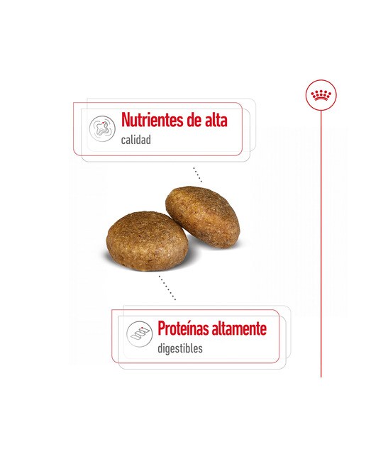 Pienso para perros adultos raza grande Royal Canin Maxi Adult 15 kg 5