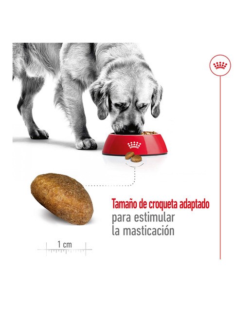 Pienso para perros adultos raza grande Royal Canin Maxi Adult 15 kg 6