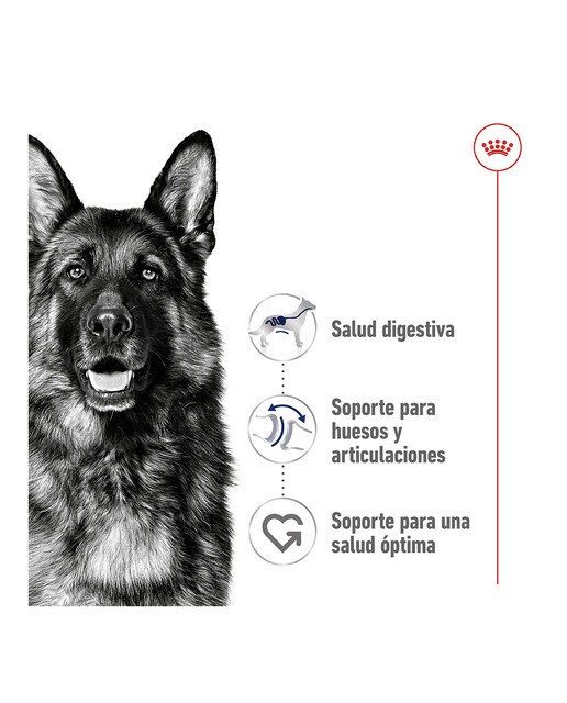 Pienso para perros adultos raza grande Royal Canin Maxi Adult 15 kg 7