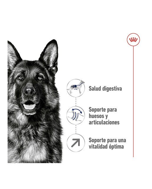 Pienso para perros adultos y sénior Royal Canin Maxi +5 15 kg 3