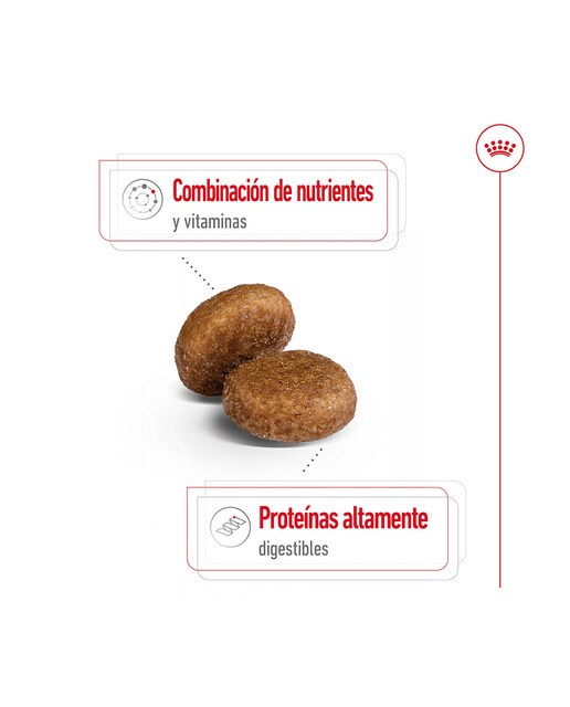Pienso para perros adultos y sénior Royal Canin Maxi +5 15 kg 4