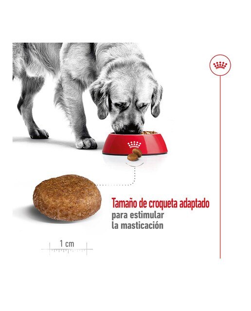 Pienso para perros adultos y sénior Royal Canin Maxi +5 15 kg 5