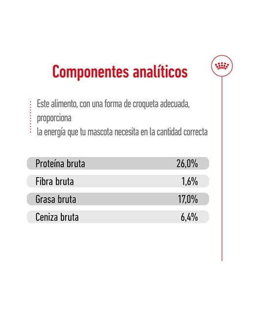 Pienso para perros adultos y sénior Royal Canin Maxi +5 15 kg 6