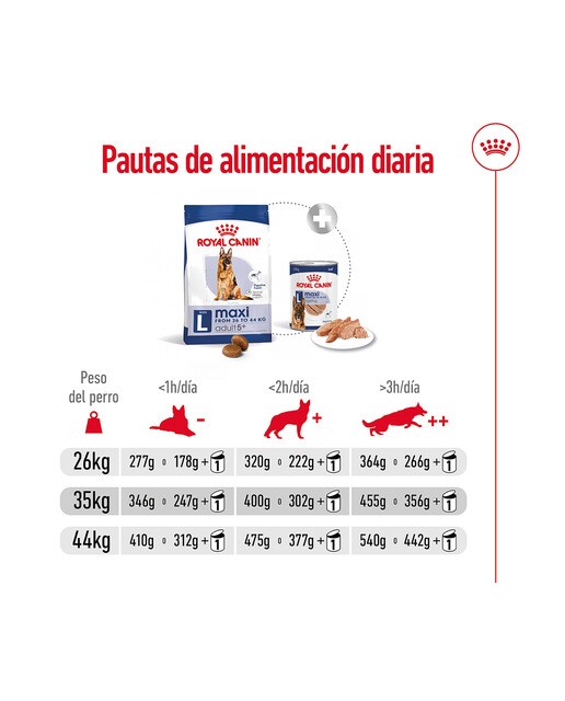 Pienso para perros adultos y sénior Royal Canin Maxi +5 15 kg 7