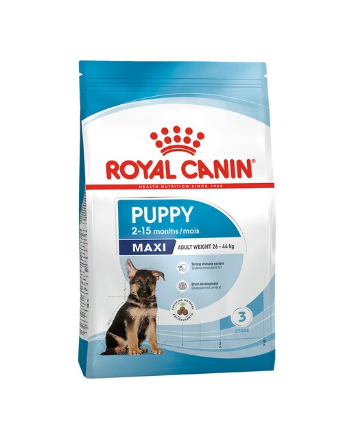 Royal Canin - Pienso para perros cachorros raza grande Royal Canin