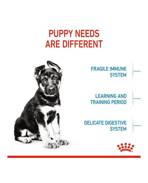 Pienso para perros cachorros raza grande Royal Canin 4