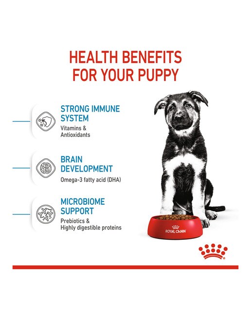 Pienso para perros cachorros raza grande Royal Canin 5