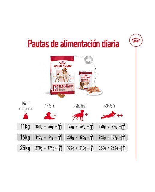 Pienso para perros adultos razas medianas Royal Canin 4