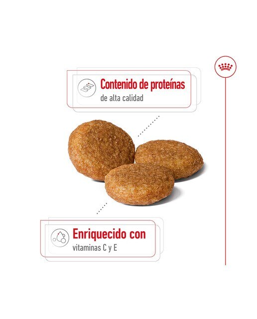 Pienso para perros adultos razas medianas Royal Canin 7