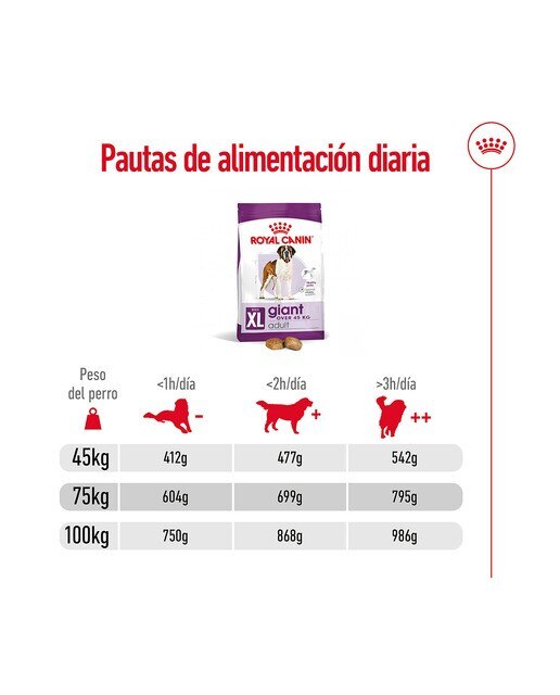 Pienso para perros adultos gigantes Royal Canin 15 kg 4