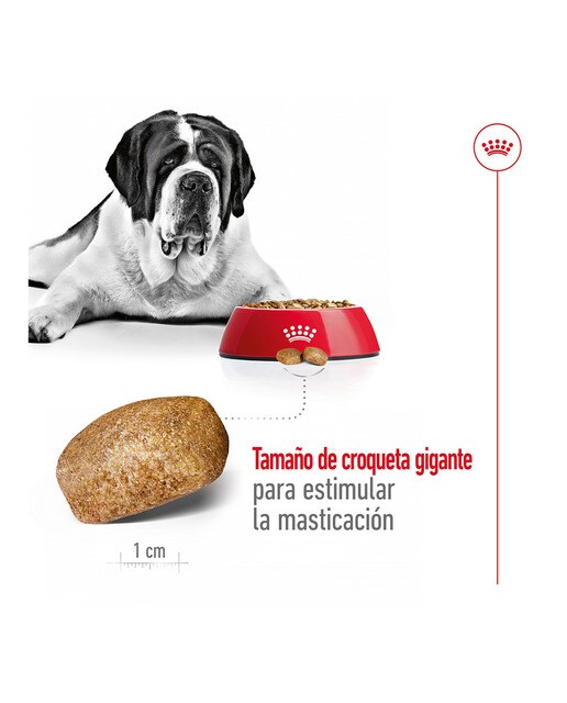Pienso para perros adultos gigantes Royal Canin 15 kg 6