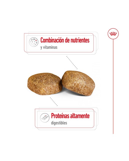 Pienso para perros adultos gigantes Royal Canin 15 kg 7