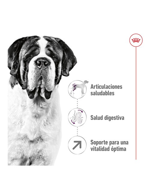 Pienso para perros adultos gigantes Royal Canin 15 kg 8