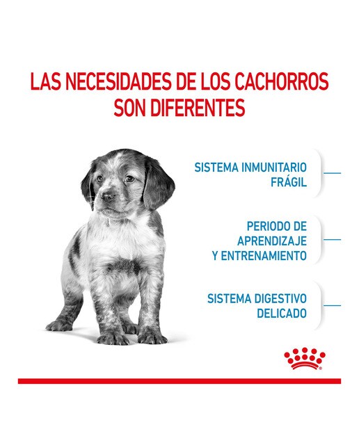 Pienso para perros cachorros raza mediana Royal Canin 5