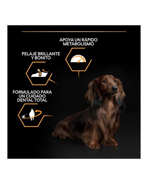 Pienso para perros adultos Purina Pro Plan Small & Mini Everyday Nutrition pollo 3