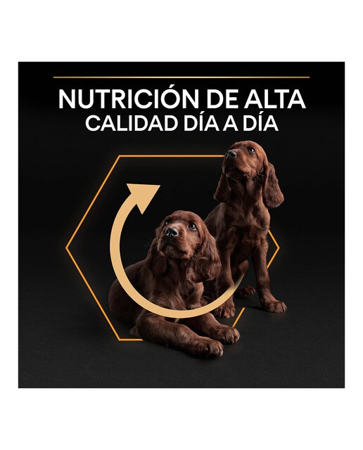 Pienso para perros adultos Purina Pro Plan Small & Mini Everyday Nutrition pollo 7