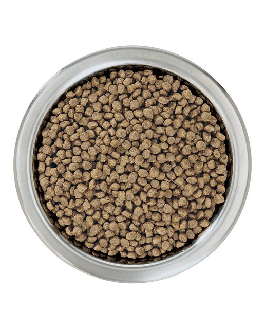 Imagen 4 de Pienso para perros cachorros Purina Pro Plan Small & Mini Healthy Start pollo