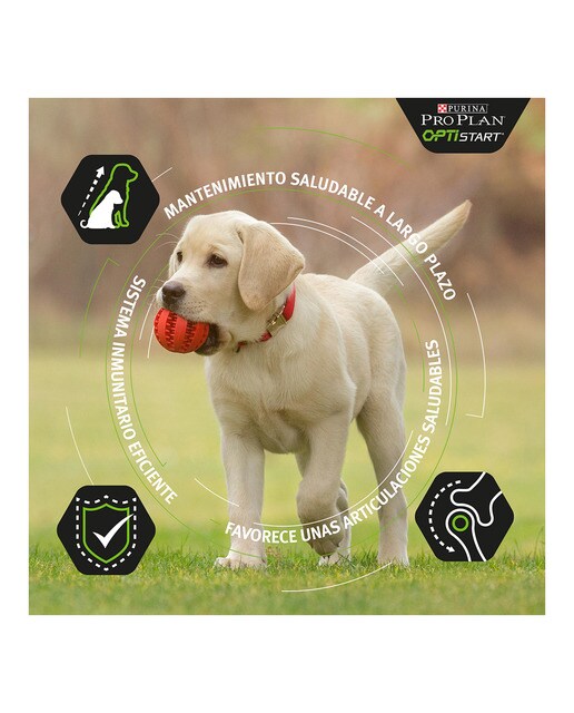 Imagen 6 de Pienso para perros cachorros Purina Pro Plan Small & Mini Healthy Start pollo