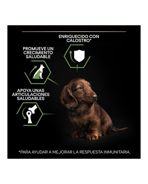 Pienso para perros cachorros Purina Pro Plan Small & Mini Healthy Start pollo 3