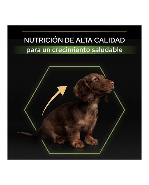 Pienso para perros cachorros Purina Pro Plan Small & Mini Healthy Start pollo 7