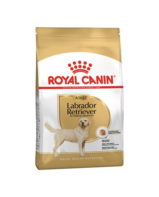 Royal Canin - Pienso para perros adultos Royal Canin Labrador Retriever