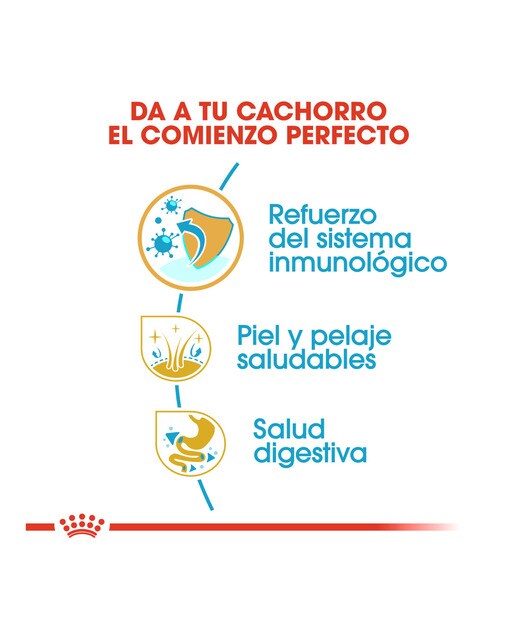 Pienso para perros cachorros Royal Canin Golden Retriever 12 kg 3