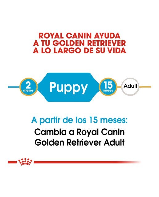 Pienso para perros cachorros Royal Canin Golden Retriever 12 kg 5